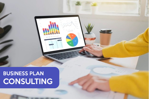 MLM-Software-Business-Plan-Consulting MLM-Software-Business-Plan-Consulting