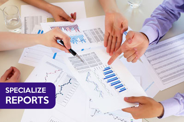 Specialize Reports Specialize Reports